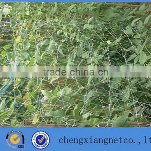 Factory Supply Cheap Price HDPE Plant Supporting Net thumbnail-1