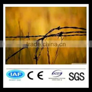 Concertina Razor Barbed Wire for Good Sale thumbnail-1