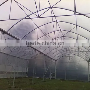 Single Span Plastic Film Tunnel Greenhouse thumbnail-1