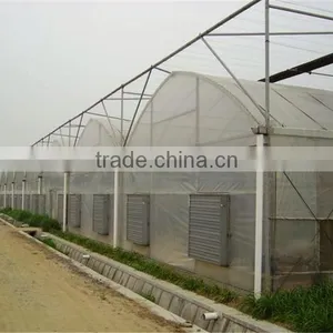 Muiti Tunnel Agriculture Greenhouse for Sale thumbnail-3