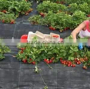 Protective PP Ground Cover thumbnail-4