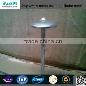 China Anping Sanxing 2.5" Umbrella Roofing Nail thumbnail-2