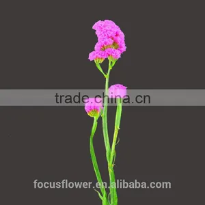 Unique Flower Vase Painting Designs Statice Popular Fresh Flower Fresh Cut Flowers thumbnail-2