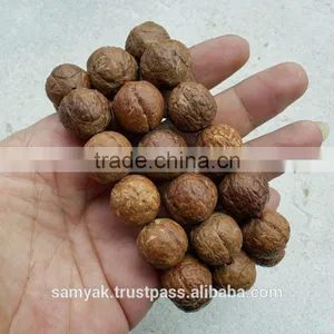 Buddha Chitta 13 Beads Bodhi Seed Genuine Indonesian Phoenix Eye Mala Phrengba thumbnail-5