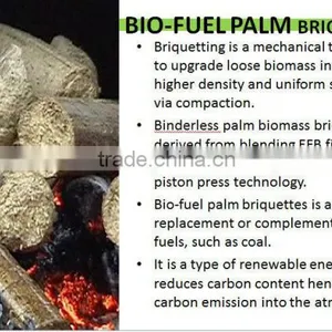 Palm Fiber Briquette thumbnail-6