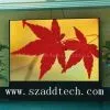 Indoor LED Display Screen thumbnail-1