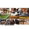 Argentine Hide Design company overview - view 1 thumbnail