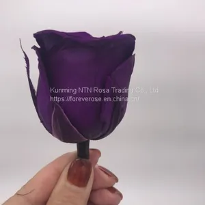 A Grade Fresh Cut Roses Preserved Flower From Ecuador Wholesale Longlasting Flower thumbnail-1