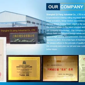 Shanghai Qipang Industrial Co., LTD company overview - view 1 thumbnail