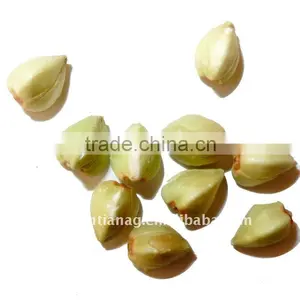 Chinese Green Buckwheat Kernels thumbnail-1