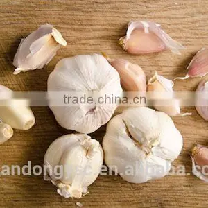 The Best Vegetable Product From China Fresh Garlic thumbnail-4
