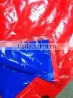 PE TarpaulinCanvas thumbnail-5