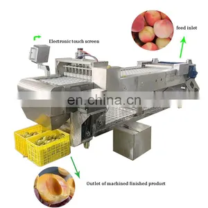 Commercial Use Fruit Stone Coring Seed Removing Plum Olive Cherry Pitter thumbnail-1