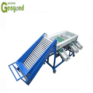 Blueberry Sorting Cherry Tomato Cherry Separator Color Sorter Machine thumbnail-4