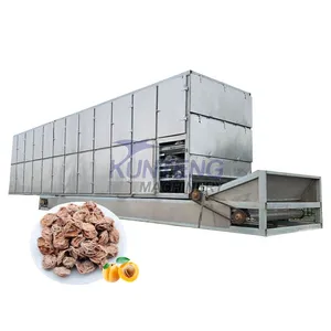 Continuous Mesh Belt Dryer Machine for Drying Mango Macadamia Onion Garlic Tomato Food Dehydrator Dried Fruit Making Machine EPC thumbnail-1