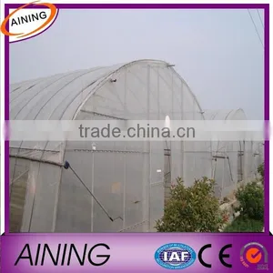 Plastic Film Multi Span Greenhouse for Tomato Vegetable and Flower Greenhouse Hot Sale Greenhouse for Farming thumbnail-5