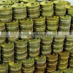 Common Nails / Roofing Nails / Coil Nail ( MANUFACTURER ) thumbnail-1