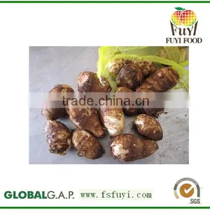Fresh Chinese Taro for Sale thumbnail-1