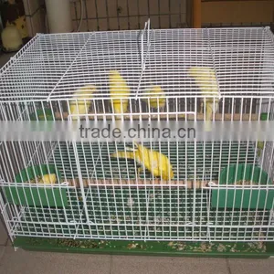 Bird Cage thumbnail-1