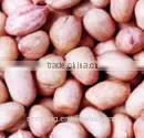 Peanut Kernels,blanched Peanut ,peanut in Shell,roasted Peanut Kernels,roasted Peanut Chopped and Splits,roasted Peanut Inshell thumbnail-4