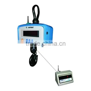 Crane Weigher With Wireless Indicator thumbnail-1
