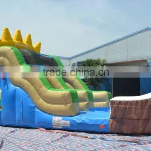 New Design Small Inflatable Water Slide Children Play in Summer thumbnail-3