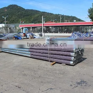 Hot Dip Galvanized Bolt and Nut Solar Street Lighting Pole Price Street Light Pole thumbnail-6