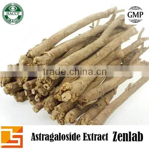 Organic Astragalus Membranaceus Astragaloside Extract Powder thumbnail-1