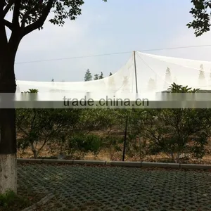 (20 Years Shanghai Factory) Hot Selling , New Arrival, Horticulture HDPE Knotted Mesh Bird Net Black Colour , 29 GSM / 20101-29 thumbnail-3