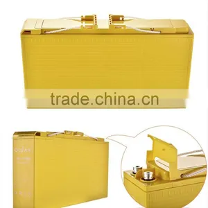 Competitive Price Best Quality Cheap Opzs Solar Battery thumbnail-5