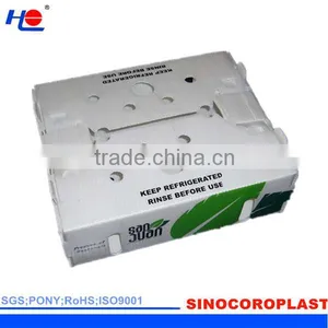 FDA PP Fruit Packaging Box/Case thumbnail-3