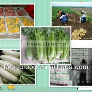 Fresh Mix Vegetable From All China Around thumbnail-1