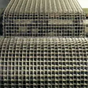 Flat Wire Belt/Belt Mesh thumbnail-1