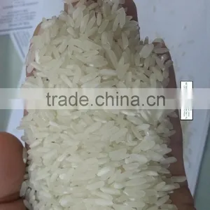 Long Grain Rice (skype:vinafoodtnt58/ Vilaconicexport@gmail.com) thumbnail-1