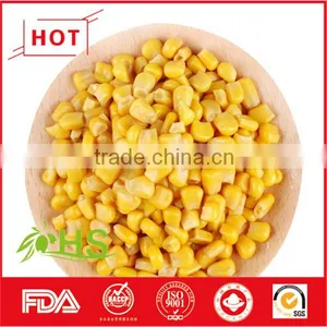 Vacuum Packing Frozen Yellow Corn Kernels for Wholesale thumbnail-1