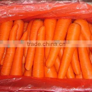 Low Price Fresh Carrot From China thumbnail-1