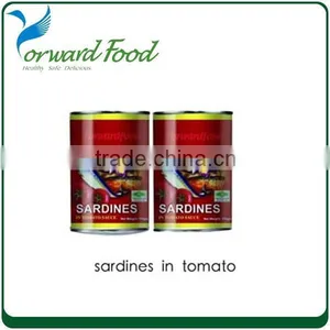 Canning Sardines China Sardine thumbnail-4