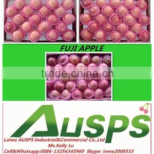 Chinese Fresh Fuji Apple thumbnail-1