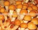 Brined Nameko thumbnail-1