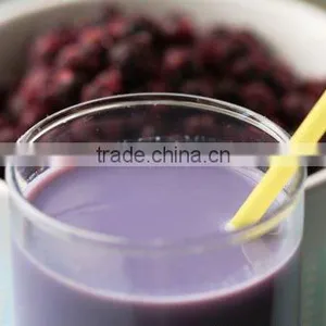 Blueberry Flavor thumbnail-1