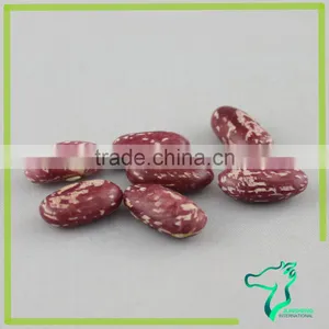 Red Speckled Kidney Beans thumbnail-1