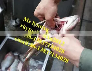 Small Fish Killing Machine /fish Kill Machine/ Fish Killer thumbnail-1