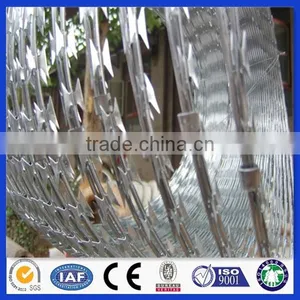 Anping Factory Hot Dipped Galavnized Razor Barbed Type Wire thumbnail-3