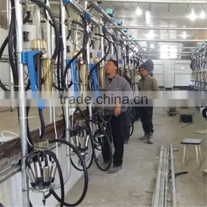 Dairy Farming Milking Equipment Automatic Milking Parlor thumbnail-4