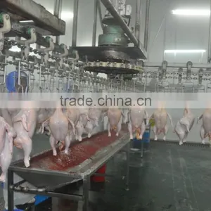 Chicken Abattoir Machinery for Slaughterhouse thumbnail-1