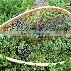 Wooden Frame Landing Net thumbnail-3