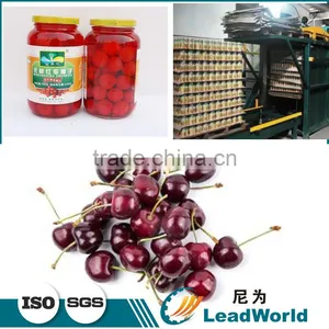 Best Price Automatic Canned Cherries Palletizer thumbnail-2