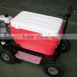 43cc EPA Approved Gasoline Refrigerator Scooter/cooler Box Scooter for Adult (TKS-S43) thumbnail-5