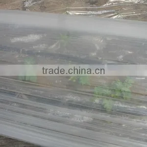 Single Span Tunnel Transparent Coextruded PE Cover Film PE Mulch Film for Watermelon Greenhouse thumbnail-1