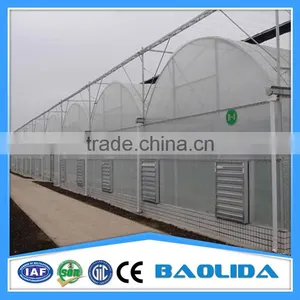 Tomato Hydroponic Greenhouse thumbnail-1